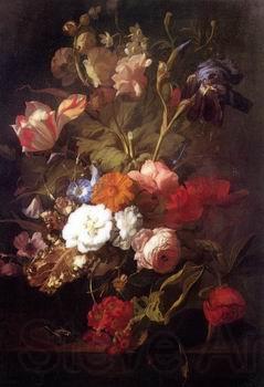 unknow artist Floral, beautiful classical still life of flowers.128 Germany oil painting art